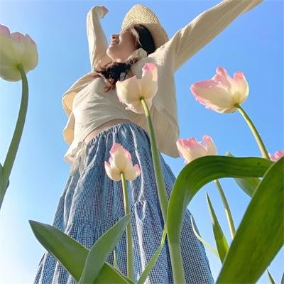 芫荽与欧芹